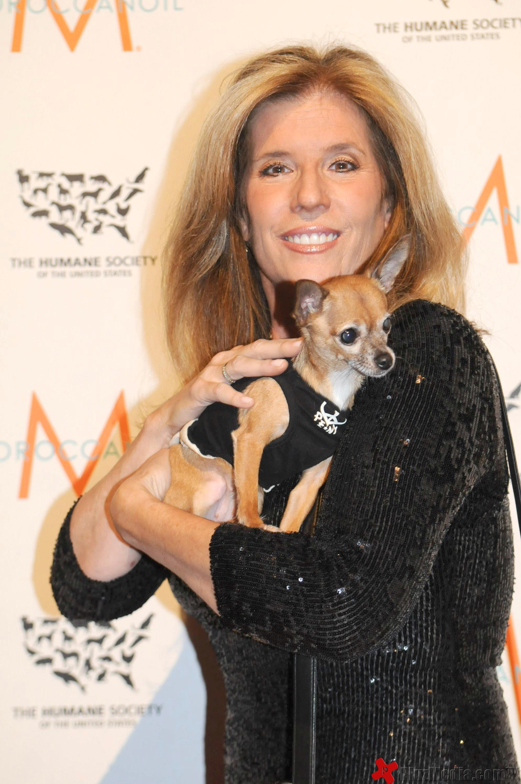 2011 Humane Society of The United States' To The Rescue! - Photos | Picture 96231